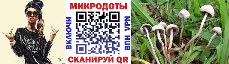 Псилоцибиновые грибы MAGIC MUSHROOMS  Пучеж 